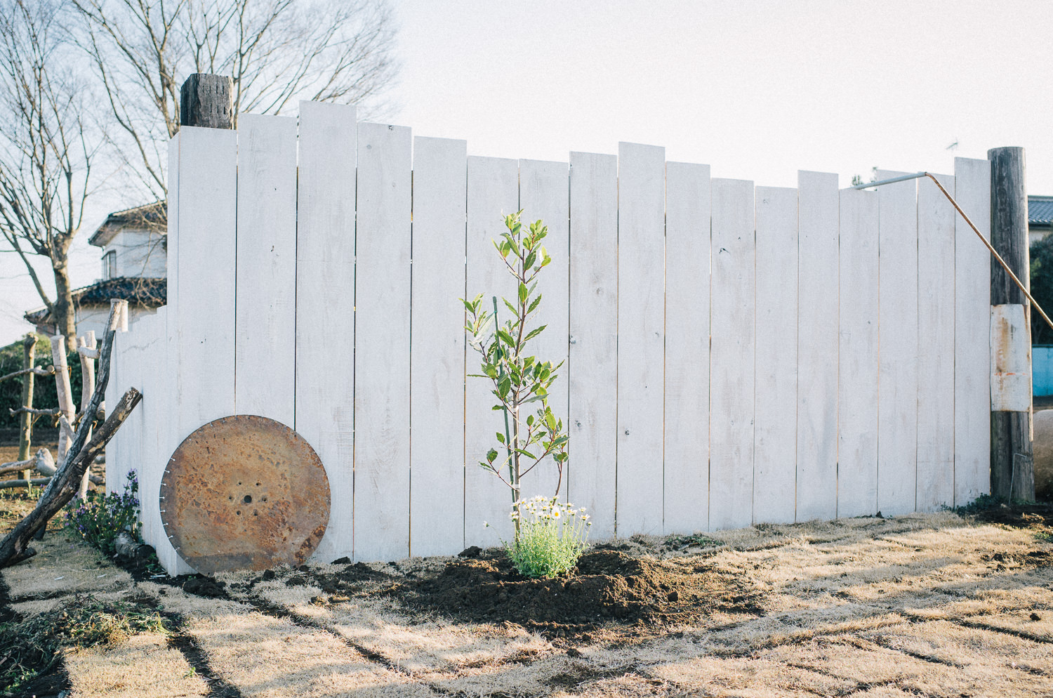 ポタジェに買ってきた苗木を植える 茨城の片隅でフランス生活